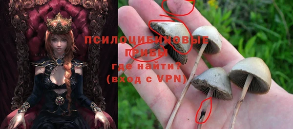 гидра Арсеньев