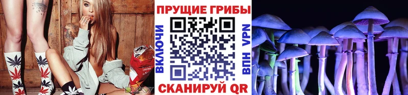 Псилоцибиновые грибы Psilocybine cubensis  Купить где  Кондопога 